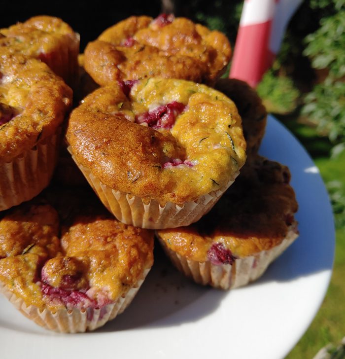 Treats Without Wheat Cranberry Orange Zucchini Muffins